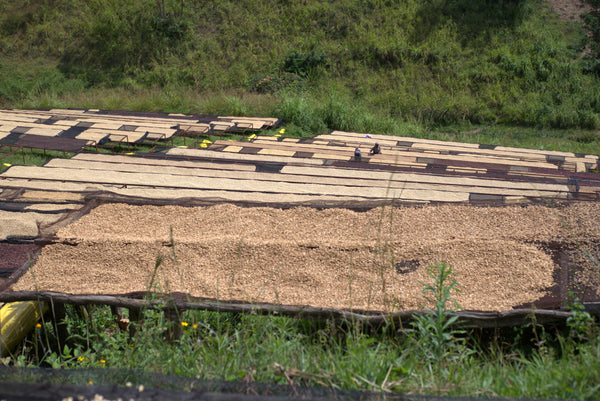 Samusure, Rwanda