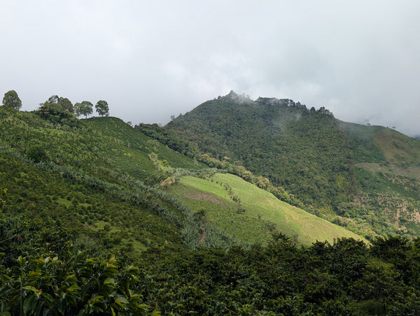 La Secreta, Colombia