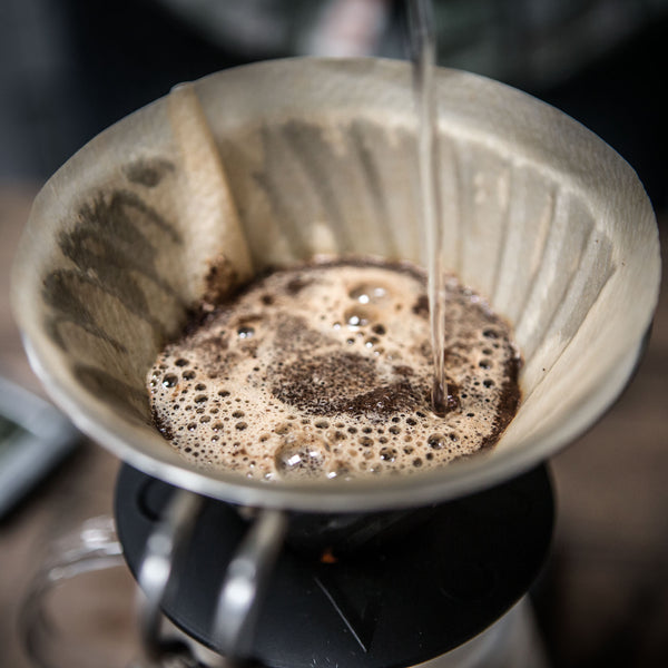 Hario V60 pour-over with water | Cast Iron Coffee Roasters