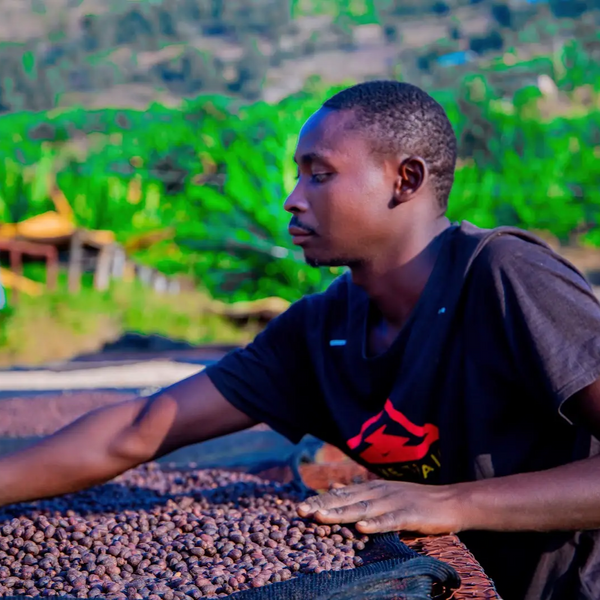 Samusure, Rwanda