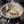 Unbleached Hario Filter Paper, Coffee and Water